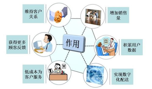 德州信息快排托管公司與外貿網站制作網絡服務團隊 構建高效網絡系統服務新生態